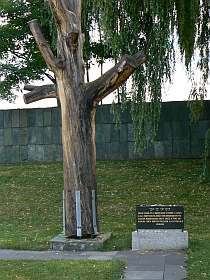 Terezin – Theresienstadt - Baum der Kinder von Terezin