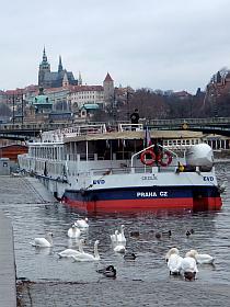 private Moldau - Schiffstour in Prag